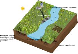 With growing interest in riparian habitats in the western u.s., the the service was regularly asked to map riparian areas in the western united states, but lacked a standard definition and conventions to. Riparian Ecotones An Important Derivative For Managing River Pollution Springerlink