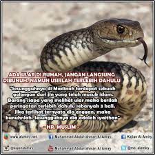 Muslim Islam Kerohanian Quran