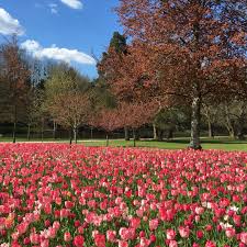 epingle par benjamin legay sur un air de printemps printemps air