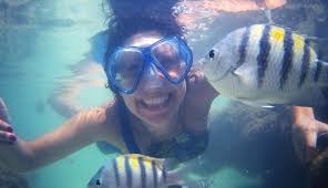 This review is the subjective opinion of a tripadvisor member and not of tripadvisor llc. Tem Que Ir Piscinas Naturais De Maragogi Tudo Que Voce Precisa Saber