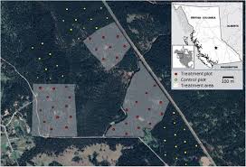 Maybe you would like to learn more about one of these? Frontiers Managing Wildlife Habitat Complex Interactions With Biotic And Abiotic Disturbances Ecology And Evolution