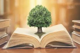 Als erstes schreibt sie heute deutsch. Glucksspruche Spruche Zum Gluck My Pebbles