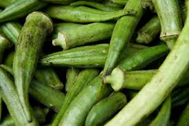 Okra Planting Growing And Harvesting Okra Plants The