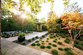 Offering a show of fleecy, white flowers in spring and bright yellow fall foliage, this lovely native tree makes a nice alternative to the flowering dogwood. The Best Small Trees For Every Type Of Small Yard And Garden Sunset Sunset Magazine