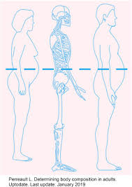 Image result for Body Composition Changes with Aging