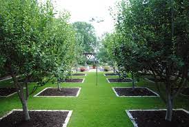 Orchard And Vegetable Garden Gardenista Orchard Garden Vegetable Garden Design Fruit Tree Garden