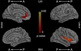 Sebastián pérez, 30, from chile cd universidad católica, since 2020 goalkeeper market value: Interoception Primes Emotional Processing Multimodal Evidence From Neurodegeneration Journal Of Neuroscience