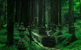 特別景點 螢火之森 取材地熊本 上色見熊野座神社 有如異世界之景 攝影札記photoblog 新奇好玩的攝影資訊 攝影技巧教學 story