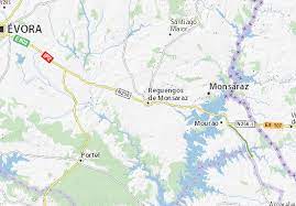 Área total do lote 560m2, área coberta r/c 320m2, ára coberta 1º. Michelin Landkarte Reguengos De Monsaraz Stadtplan Reguengos De Monsaraz Viamichelin