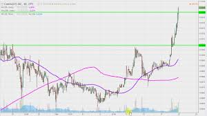 cannasys inc mjtk stock chart technical analysis for 02 21 17