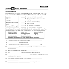 Prophase ii this animation illustrates interphase during interphase the. Mendel And Meiosis Worksheet For 9th 12th Grade Lesson Planet