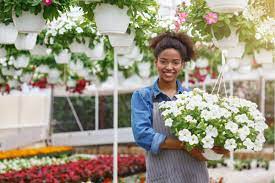 Maybe you would like to learn more about one of these? 9 Best Flower Delivery Services In Jacksonville Florida Florgeous