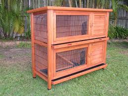 Pin On Bunnies Rabbits