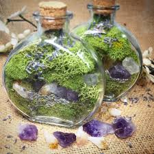 Terrarium Crystal Garden Fairy Terrarium Kit Jar Amethyst Wood Christmas Girlfriend Gift For Her Raw Crystal Hea Fairy Terrarium Terrariums Kits Crystal Garden