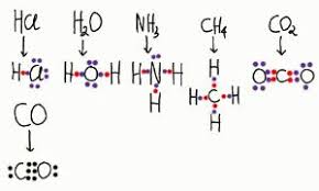 Senyawa yang mempunyai ikatan hidrogen antar molekulnya adalah nomor. Daftar Struktur Lewis Berbagai Macam Senyawa Your Chemistry A