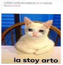 Ia Stoy Art Esmeralda Burgoa Facebook Ia stoy arto meme generator the fastest meme generator on the planet. ia stoy art esmeralda burgoa