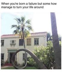 32 Funny Memes To Keep You Laughing Funny Gallery Positive Memes Tree Felling Palm Trees