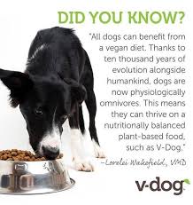 What about vegan puppy food? Veganism A Truth Whose Time Has Come Basic Vegan Recipe For Feeding Dogs