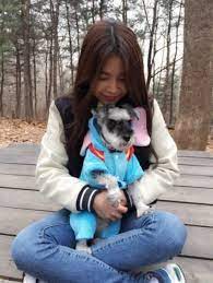Mamamoo Their Pets K Pop Amino Solar Mamamoo Dog Hotel Mamamoo