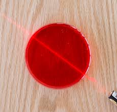 Here are 16 fun ideas to try during the month of december! Laser Jello Color Light Reflection Refraction Science Activity Exploratorium Teacher Institute Project