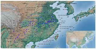 Image result for Oenanthe mildbraedii