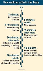 Good Morning Would You Like To Do Something Positive In Every Aspect Of Your Life Then Start Walking More And Regularly Tinette 07984 5 Walking For Health