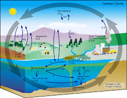 They design water and sewage treatment plants that clean water for human use. Environmental Engineering Science Wikipedia