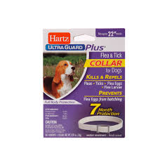 Hartz Ultraguard Plus Flea Tick Collar For Dogs Hartz
