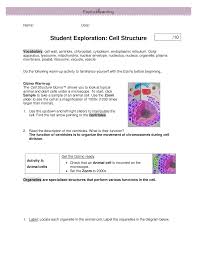 What Is The Role Of Centrioles Gizmo