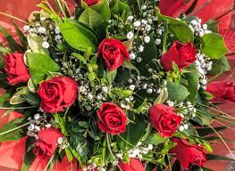 Überraschen sie mit einer romantischen nachricht mit floraqueen. Rote Rosen Strauss Lizenzfreies Foto 9658856 Bildagentur Panthermedia