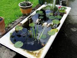 How To Make A Bathtub Pond Empress Of Dirt Garden Pond Design Fish Garden Small Garden Fish Ponds