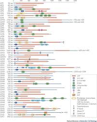 Convert japanese yens to malaysian ringgits with a conversion calculator, or yens to ringgits conversion tables. Breaking The Chains Structure And Function Of The Deubiquitinases Nature Reviews Molecular Cell Biology