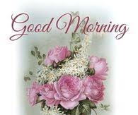 So we have shared the best collection of good morning sunday images, wishes & quotes to kickstart your day. Good Morning Sunday Pictures Photos Images And Pics For Facebook Tumblr Pinterest And Twitter