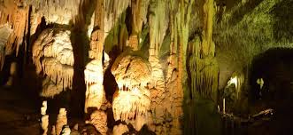 Bus Zu Den Postojna Hohlen Alles Uber Busse