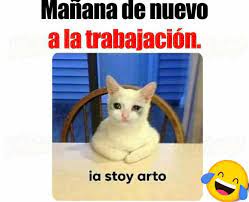 Dopl3r Com Memes Manana De Nuevo A La Trabajacion Ia Stoy Arto Ia stoy arto home facebook. ia stoy arto