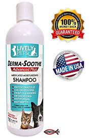 Cat Bath Shampoo Derma Soothe Medicated Shampoo With Ketoconazole And Chlorhexidine Anti Dog Ear Infection Treatment Yeast Infection Yeast Infection Causes