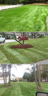 Includes a discussion of monitoring methods and excellent color photographs of turfgrass insect pests and typical damage symptoms. 300 Home And Yard Projects Handyman Builders Plumbers Electricians And More Ideas Yard Project Pool Maintenance Improvement Projects