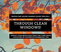 Select from different clear reflections with varying colors, dryability, and wearability. Clear Reflections Window Cleaning Home Facebook