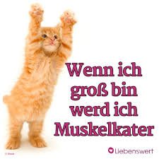 Heute Schon Gelacht Spruche Zum Thema Humor Lachen Spruch Spruche Tiere Humor