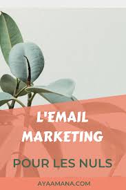 L Email Marketing Pour Les Nuls En 2020 Marketing Marketing Automation Marketing En Ligne