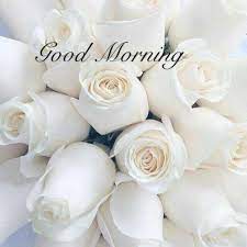 Your selflessness and kindness are so rare to find, you have been a blessing to me as a friend. Good Morning Good Morning Flowers Good Morning Cards Good Morning Greeting Cards