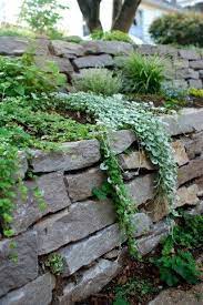 Dry Stack Stone Wall With Plants Over It Stone Walls Garden Sloped Garden Landscaping Retaining Walls