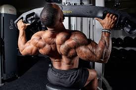 Within this group of back muscles you will find the latissimus dorsi, the trapezius these muscles are able to move the upper limb as they originate at the vertebral column and insert onto either the clavicle, scapula or humerus. Strengthening Exercises For Erector Spinae Back Muscles Gym Junkies