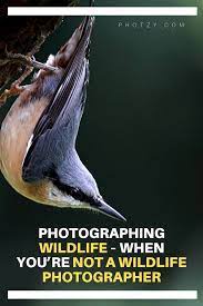 Pin On Best Of Bird Photography