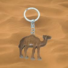 It can be used to invoke a pojo remotely, using a javaspace as a transport. Key Chain Camel