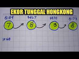 We did not find results for: Rumus Ekor Tunggal Hongkong Malam Ini Prediksi Hk Har