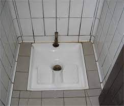 Bidets And Squat Toilets 101 A North American Takes The Plunge Toilet Tiles Toilet Storage Room Organization