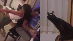 Check spelling or type a new query. A Pervert Cat Reacting To Khatia Buniatishvili Twerking To Her Husband Youtube