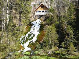In fiecare zi, cele mai importante evenimente, transmisiuni live, analize, anchete si reportaje. Cascada Sapte Izvoare Cea Mai Pura Sursa De Apa Din Romania Romania Mama Stiri Administratie Publica Anunturi Joburi Turism Sport Lifestyle Divertisment