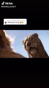 Pin By A Strange Lass On Wow Video Really Funny Memes Funny Relatable Memes Funny Video Memes